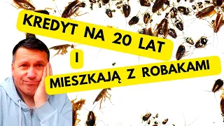 Kredyt na dwadzieścia lat a teraz mieszkają z robakami - jak zlikwidować prusaki - prusaki w bloku