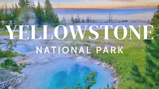 YELLOWSTONE IN HALF A DAY | 6 stops in Yellowstone National Park - USA road trip & travel Vlog