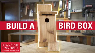 How to Build a Bird Box