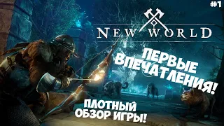 NEW WORLD НОВАЯ ИГРА - ВСЁ ЧТО ТЕБЕ НУЖНО ЗНАТЬ! ОБЗОР И ПЕРВЫЕ ВПЕЧАТЛЕНИЯ!