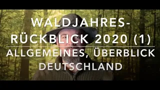 Wald(Schadens)rückblick 2020 (Teil 1) - Allgemeines und Überblick