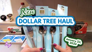 New DOLLAR TREE HAUL!  Finally Some New Finds!  January 23, 2024