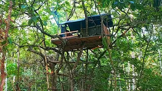 camping di hutan kebun karet // membuat rumah diatas pohon