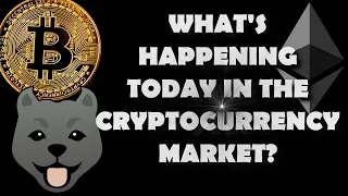 Cryptocurrency Market Today and how it affects you!