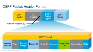 6 OSPF LSA Types
