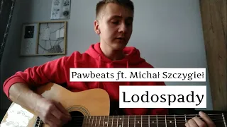 Pawbeats ft. Michał Szczygieł - Lodospady (Cover by Piotr Szymczyk)