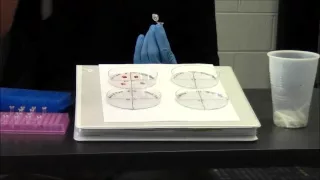 Gene Machine - Blood Typing Lab Demo