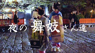 Maiko walking on beautiful stone pavement in Kyoto Gion at night　美しい夜の祇園の石畳を歩く舞妓さん達