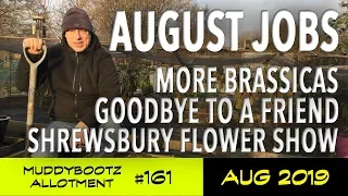 MuddyBootz Allotment #161 - August Jobs - Shrewsbury Flower Show - Sad Farewell - and lots more