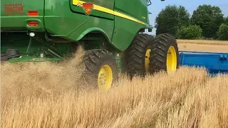 Why HARVEST Wheat This Way?