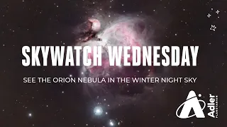 See The Orion Nebula In The Winter Night Sky #Shorts | Adler Planetarium