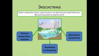 Биология. 9 класс. Понятие о биогеоценозе и экосистеме. Людмила Ивановна. Profi-Teacher.ru