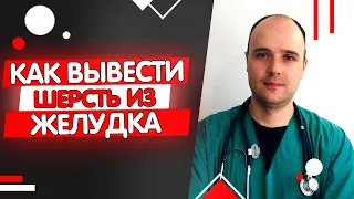 Шерсть в желудке у кошки: как вывести, лечение, профилактика