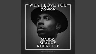 Why I Love You (Remix)