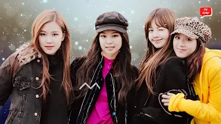 Blackpink 'Split Partnership' and will work separately