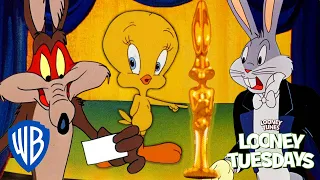 Looney Tuesdays | Looney Tunes Award Nominations 🏆 | Looney Tunes | @wbkids