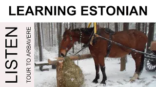 Learning Estonian 35. Short story #learningestonian