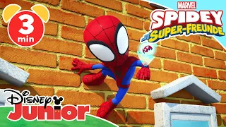 🕷 Spidey in der Klemme! | Spidey und seine Super-Freunde