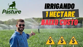 ESSE É O JEITO MAIS BARATO DE VOCÊ IRRIGAR 1 HECTARE DE PASTO