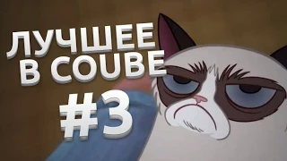 Лучшее в Coub #3