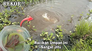 Racikan Umpan Jitu Se Indonesia