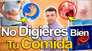 No Estás Digiriendo Tu Comida - Signos Y Síntomas De Mala Digestión, Mala Absorción E Indigestión