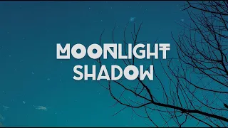 Moonlight Shadow - Groove Coverage (TIQTA Remix)