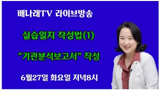 배나래 TV 라이브 방송-사회복지현장실습-기관분석보고서작성하기😄