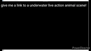 live action animal underwater scenes!