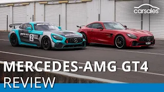 2019 Mercedes-AMG GT4 | Drive your own Mercedes-Benz factory racer