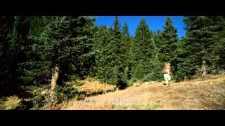 Lone Survivor HD Trailer EST/RUS