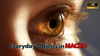 EVERYDAY OBJECTS IN MACRO in 4K Ultra HD