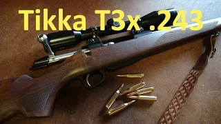 Tikka T3x Hunter - First Review