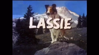 Lassie - Episode #367 - The Little Christmas Tree - Season 11, Ep. 15 - 12/20/1964