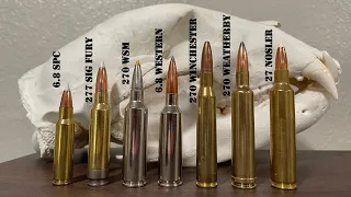 270 Caliber Cartridges: The Ultimate Guide