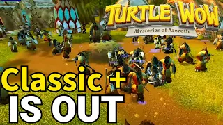 TURTLE WOW FRESH SERVER!