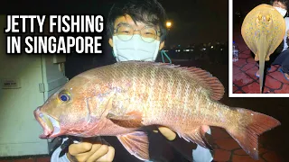 Fishing at Bedok Jetty | Mangrove Jack and Stingray!