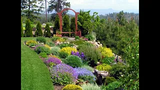 Hill Landscaping Design ideas