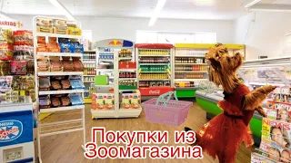 Покупки из зоомагазина для йорка и шиншиллы // Зоопокупки