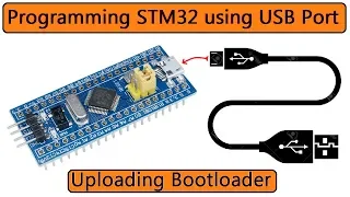 STM32 Bootloader | Programming STM32F103C via USB Port