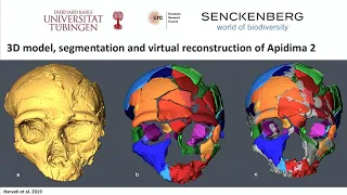 Homo Sapiens Dispersals Out of Africa