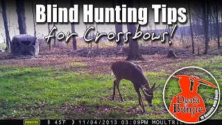 Tips for Hunting Out of a Blind with YOUR CROSSBOW!