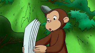 George Takes a Hike! 🐵 | Curious George | Cartoons for Kids | WildBrain Kids