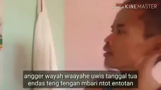 LAGU DANGDUT TEGAL NGAPAK, BUAT ORANG RANTAU