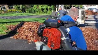 Leaf pick up for Ridge Landscaping.