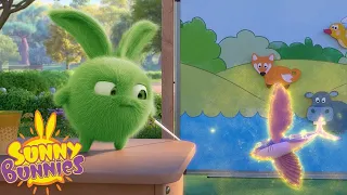 SUNNY BUNNIES - Hopper's Magic Show | Cartoons for Children | WildBrain Zoo