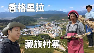 走进离天堂最近的香格里拉，误入藏族村落，藏民秋收青稞，这座城太适合旅居了！Explore Shangri-La！Accidentally broke into a Tibetan village丨4K