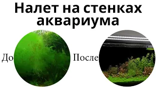 Как избавиться от налета на стенках аквариума за 4 дня