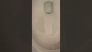 Kohler toilet flush