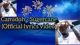 Sugarcane By Camidoh, An Exclusive lyrics In This Video..#@legacyworldentertainment